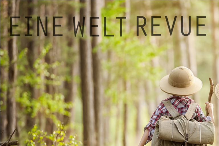 Eine Welt Revue